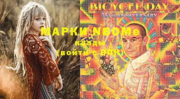 стафф Надым