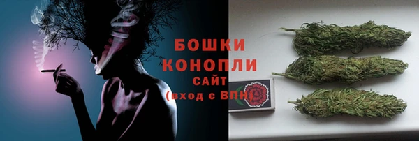 шишки Нефтегорск