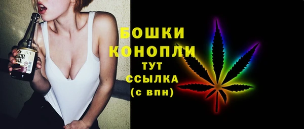 винт Богданович
