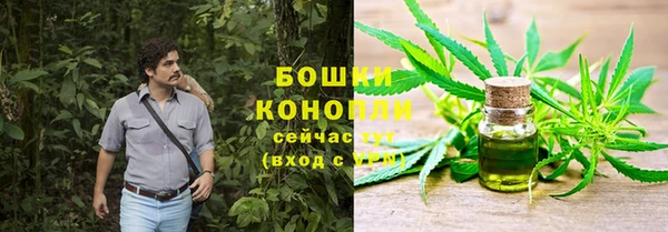 бошки Нея
