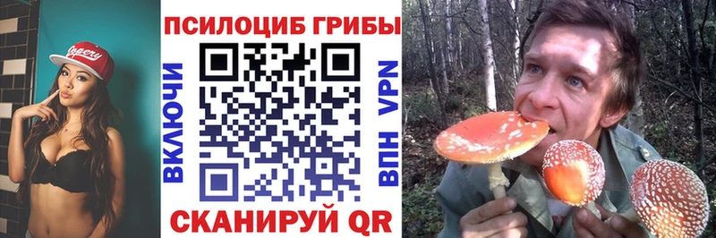 Галлюциногенные грибы GOLDEN TEACHER Прокопьевск