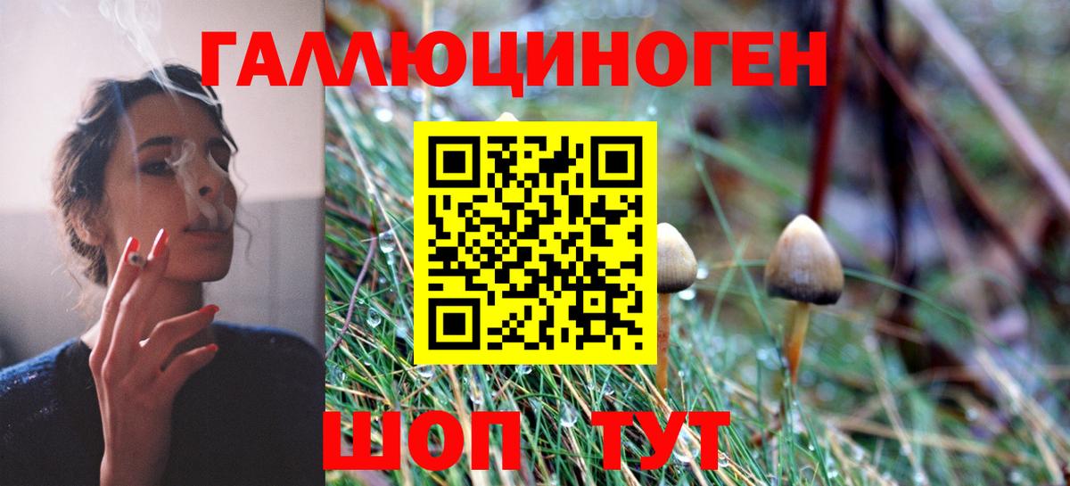 даркнет сайт  Вход с VPN  Галлюциногенные грибы MAGIC MUSHROOMS  Прокопьевск  Галлюциногенные грибы мицелий 