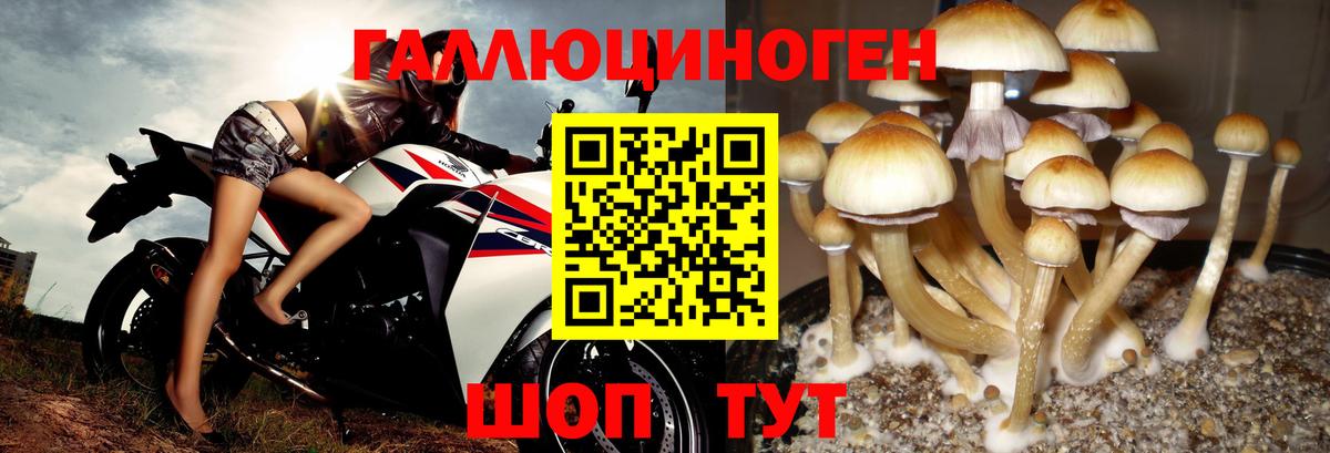 Галлюциногенные грибы ЛСД Прокопьевск